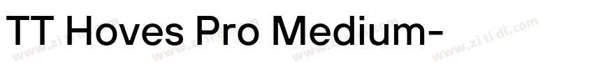 TT Hoves Pro Medium字体转换